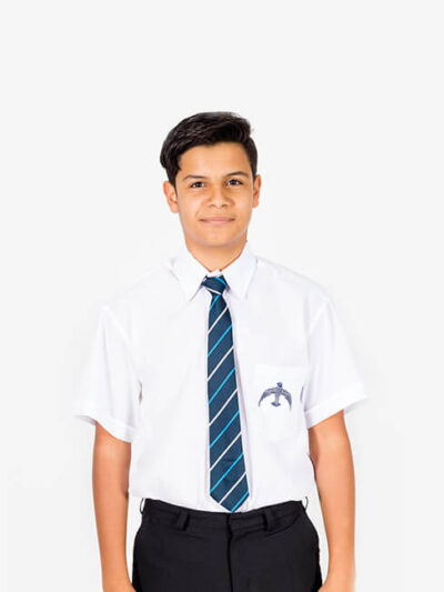 Falcon Striped Ties